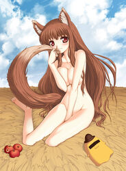 1girls animal_ears aokihoshi apple barefoot blush breast_squeeze breasts cheese-kun cloud clouds code_geass collarbone completely_nude completely_nude_female covering covering_breasts covering_crotch covering_pussy crossover feet female flyking food fruit hay highres holding holding_apple holding_fruit holo large_breasts long_hair mascot nude nude_female nudist outdoors outside pizza_hut red_eyes sky smile solo spice_and_wolf tail toes very_long_hair