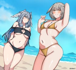 2girls alternate_costume ass beach bikini blue_eyes blush cat_ears cat_girl colored core_crystal core_crystal_(xenoblade) curvy grey_hair hips large_breasts long_hair looking_at_viewer meidza_d melia_antiqua monolith_soft navel nia nintendo ocean queen_nia revealing_clothes silver_hair small_breasts smiling smiling_at_viewer swimsuit tagme wide_hips wings wings_on_head xenoblade_(series) xenoblade_chronicles_3 yellow_eyes