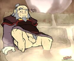 avatar_the_last_airbender balls boner clothing erection hot_spring iroh male male_only mature mature_male penis pubic_hair solo torquewintress water