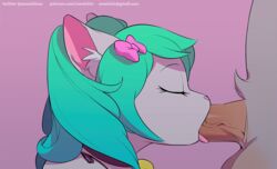 amaichix animated bow closed_eyes commission feline fellatio furry gif grey_fur magicalmysticva magicalmysticva_(oc) mystic oc oral pink_bow sucking tagme teal_hair ych