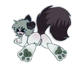 2023 :3 anthro clovers_(purinpuppy) cuntboy from_behind furry intersex old_art pawpads paws purinpuppy pussy raccoon raccoon_tail tail