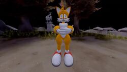 3d 3d_model animated anthro bigfootfansmell cum cum_on_feet female_domination foot_growth foot_worship giantess hyper_feet mobian mobian_(species) mobian_bat mp4 penis rouge_the_bat sega shoe_burst shrink sonic_(series) sonic_adventure_2 sonic_the_hedgehog_(series) sound tails vanilla_the_rabbit video