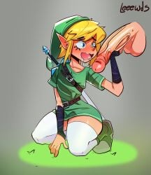 link from the legend of zelda by leeewds