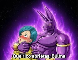beerus from dragon ball
