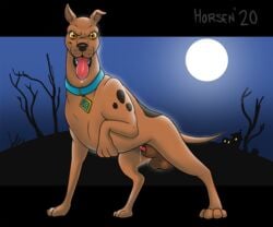 animal_genitalia bodily_fluids canid canine canis collar domestic_dog drooling drooling_pre feral genital_fluids genitals great_dane hanna-barbera horsen looking_at_viewer male male_only mammal mastiff molosser penis precum saliva scooby-doo scooby-doo_(character) sheath solo tongue