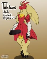 2020 4:5 anthro arm_wraps balls black_penis blaziken character_name english_text feathers genitals hi_res johnithanial male male_only nintendo penis pokemon pokemon_(species) red_balls red_body red_feathers solo standing text two_tone_balls video_games wraps yellow_balls