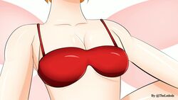 animated boobs bra breast_expansion breast_hold breasts breasts_out no_sound sunny_milk tagme the_aya touhou video