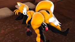 shadow the hedgehog from sonic (series) by blueapple