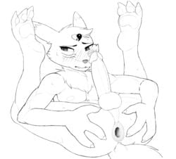 anthro anus ass balls blush canid canine claws erection fur fur_tuft gaping gaping_anus genitals glans grispinne hand_on_butt holding_butt male male_only mammal pawpads penis perineum simple_background solo toe_claws tuft white_background