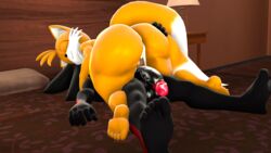 shadow the hedgehog from sonic (series) by blueapple