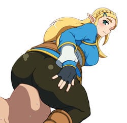 princess zelda from breath of the wild by mantan