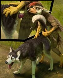 absurd_res anatomically_correct anatomically_correct_genitalia anatomically_correct_vulva animal_genitalia animal_vulva anthro anthro_on_feral anthro_penetrating anthro_penetrating_feral avian beak bestiality bird black_body black_fur canid canine canine_genitalia canine_vulva canis claws digitigrade domestic_dog duo ear_tuft ears_up erection eyes_closed feathers female female_penetrated feral feral_penetrated fokker_(artist) fur genitals hair hi_res holding_tail husky male male/female male_penetrating male_penetrating_female mammal nordic_sled_dog nude open_mouth penetration penile penile_penetration penis penis_in_vagina sex spitz tail tongue tongue_out tuft vaginal vaginal_penetration vulva whiskers white_body white_fur