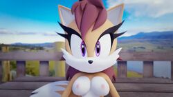 animated boobs cum cum_in_pussy cum_inside fan_character ganondork kara_the_husky mobian_(species) no_sound original_character penis pov pov_eye_contact pussy sonic_(series) sonic_the_hedgehog sonic_the_hedgehog_(series) tagme vaginal video