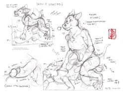 aggressive_humping anal anthro aroused balls big_top boc_the_seamster bodily_fluids body_size_growth breath canid canine consenting deep_penetration demi-human_(elden_ring) dialogue duo elden_ring erection experience experience_points experience_up fennec_(artist) fox fromsoftware gameplay_mechanics genital_fluids genital_growth genitals growth heart_symbol hi_res humanoid_genitalia humanoid_penis humping internal level_number level_up leveling male male/male mammal mismatched_genitalia mismatched_humanoid_penis mismatched_penis muscle_growth penetration penis player_character precum rough_sex saggy_balls sex shedding size_difference size_play size_transformation small_top text traditional_media_(artwork) transformation true_fox