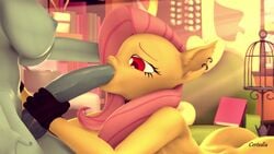 3d 4k animated anthro certedia collar cum_in_mouth cum_in_throat cum_swallow deepthroat fellatio female flaccid flutterbat_(mlp) fluttershy_(mlp) furry futa_on_female futanari hair_on_head horsecock my_little_pony oral rainbow_dash_(mlp) sfm sound swallowing_bulge video