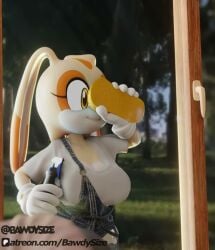 Sonic (Series) Rule 34 Video