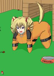 animal_tail bitchsuit blonde_hair blue_eyes doggirl high_school_dxd latex_suit outdoors pet_play ravel_phenex solo tail what