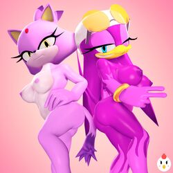 2girls 3d ass blaze_the_cat hentype nipples nude sega sonic_(series) sonic_the_hedgehog_(series) wave_the_swallow