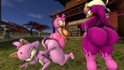 3d amy_rose anthro areola ass ass_press big_ass big_breasts blaze_the_cat darksorm feline female female_only furry furry_only hedgehog huge_ass nipples on_stomach outdoors sonic_(series) sonic_riders source_filmmaker swallow_(bird) wave_the_swallow yuri