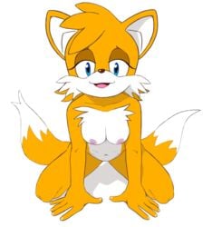 2_tails all_fours alpha_channel anthro areola blue_eyes breasts canid canine ellie_prower female fox genderswap hi_res jetfrozen looking_at_viewer mammal mtf_crossgender multi_tail nipples nude rule_63 simple_background solo sonic_(series) tails tailsko transparent_background