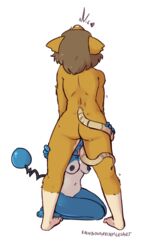 2019 absurd_res anthro anthro_on_anthro anthro_only anthrofied ass blue_body bodily_fluids breasts brown_body brown_fur brown_hair duo faceless_female female female/female fur genital_fluids hair hi_res hip_grab interspecies leg_grab licking mammal marill nintendo nipples nude pokémon_(species) pokemon pussy_juice rainbowsprinklesart raticate rear_view rodent saliva standing tail_fetish tail_lick tail_play tongue tongue_out video_games yuri