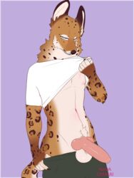 3:4 anthro balls canid canine clothing erection felid feline finn_heartlin fur genitals hi_res hybrid jaguar knot male male_only mammal maned_wolf nadacheruulewd nipples pantherine penis pinup pose rosettes seductive simple_background solo