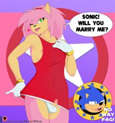 2boys amy_rose anthro english_text eulipotyphlan f-slur faggot femboy genderswap_(ftm) genitals heart0fink_(artist) hedgehog hi_res male male_only mammal meme nipples penis rule_63 slur small_penis sonic_(series) sonic_the_hedgehog sonic_the_hedgehog_(series) speech_bubble text