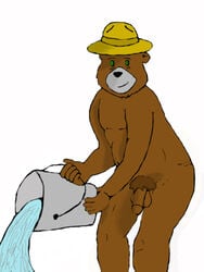 anthro bear bucket male male_only penis smokey_the_bear solo tagme water