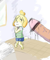 1girls 2d afraid animal_crossing anthro bad_censor big_penis censored circumcised circumcised_penis doubutsu_no_mori faceless_male female female_focus fully_clothed_female human_penis humanoid_penis hyper hyper_penis imminent_rape imminent_sex isabelle_(animal_crossing) knees_together_feet_apart light-skinned_male light-skinned_penis male massive_penis nintendo office_lady offscreen_character shivering shizue_(doubutsu_no_mori) solo_focus video_games