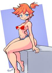 kasumi (pokemon) from nintendo by profit