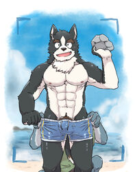 anthro barazoku barely_visible_genitalia barely_visible_penis black_nose bulge canid canine canis clothing domestic_dog duo genitals hi_res humanoid_hands kemono male male_focus male_only mammal muscular nekodon_san nipples outside penis swimwear water