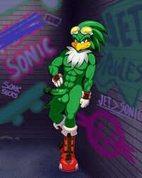 jet the hawk from sonic (series) by lonbluewolf
