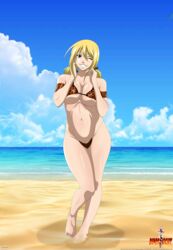 lucy heartfilia from fairy tail by dinosknight