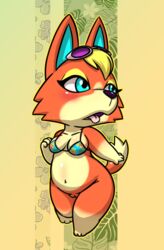 alternate_breast_size animal_crossing anthro audie_(animal_crossing) belly bikini bikini_top black_nose blonde_hair bottomless breasts canid canine canis clothed clothing female fur furry furry_only gloves_(marking) hair lkiws mammal markings mostly_nude multicolored_bikini nintendo nude open_mouth orange_body orange_ears orange_fur pussy solo standing swimwear tail tongue topwear two_tone_tail video_games wolf