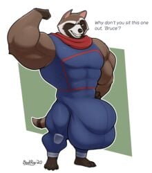 absurd_res anthro badroy bulge clothing flexing guardians_of_the_galaxy hi_res hyper male male_only mammal marvel muscular procyonid raccoon rocket_raccoon solo tight_clothing