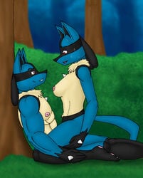 anthro bodily_fluids cowgirl_position duo eye_contact female forest looking_at_another looking_pleasured lucario male muscular muscular_male nintendo on_top penetration pokemon pokemon_(species) sex straight sweat tree video_games vjmorales