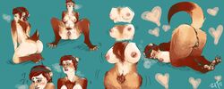 2013 accessory anus ass big_breasts breast_expansion breasts brown_body brown_fur brown_hair butt_expansion closed_eyes domestic_ferret ear_piercing female fur genitals hair headband heart mammal masturbation mustela mustelid musteline nipple_piercing nipples nude piercing pussy raised_tail sequence simple_background sitting smile solo transformation vaginal_masturbation vaginal_penetration zit_(artist)