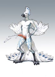 4_toes 5_fingers absurd_res anatomically_correct anatomically_correct_genitalia anatomically_correct_penis animal_genitalia animal_penis anisodactyl anthro avian beak bird bird_feet black_body blue_body blue_feathers bodily_fluids cloaca cum dhamill ejaculation erection feathered_wings feathers fingers flintblion galliform genital_fluids genitals girly half-closed_eyes hands_on_hips hi_res holding_penis kujaku_(flintverse) male markings moan narrowed_eyes nude open_mouth orgasm orgasm_face peafowl penis phasianid simple_background solo spots standing tail_feathers talons toes white_background white_body white_feathers wings