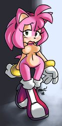 2008 amy_rose beige_skin color female female_only front_view fur furry hedgehog nitro pink_fur praiz sega skin solo sonic_(series) sonic_the_hedgehog_(series)