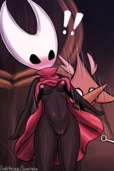 grindle (hollow knight) from hollow knight by lumineko