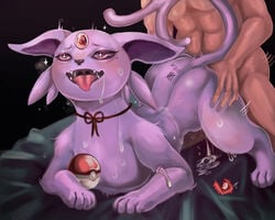 eeveelution from nintendo by anixaila
