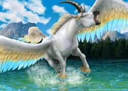 Animal Genitalia Rule 34 Image