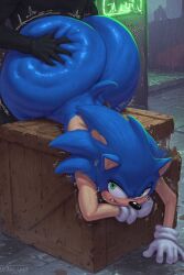 sonic the hedgehog from sonic (series)