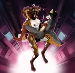 2_heads 6_breasts absurd_res african_wild_dog animal_genitalia animal_penis animal_vulva anthro anthro_on_anthro balls big_breasts bodily_fluids breasts brown_body brown_fur canid canine canine_genitalia canine_penis canis carson_and_caroline_halligan conjoined cum cuntboy cuntboy_penetrated digital_media_(artwork) duo erection fox fur genital_fluids genitals grey_fox group hair herm herm_penetrating hi_res intersex intersex/intersex intersex_penetrated intersex_penetrating kian_redfang_(afrousjojo) knot mammal multi_breast multi_head nipples nude penetration penile penis sex sibling_(lore) soulless_lumos tail trio urocyon vaginal_penetration zero_gravity