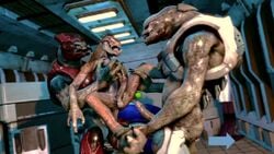 3d 3d_(artwork) abs alien animated balls biceps circumcised erection gay gonzo0o halo_(series) interspecies kig-yar male male/male male_only male_sangheili_(halo) males_only muscular muscular_male obliques pecs penis ribs sangheili scalie serratus_anterior sfm size_difference sound tagme thighs threesome triceps video yaoi