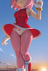 amy rose from sonic (series) by miragetheone