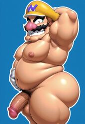 wario from mario (series)