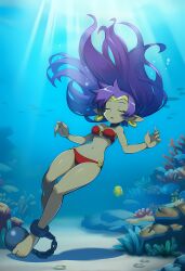 shantae (character) from shantae by labreed