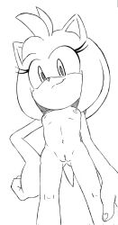 amy rose from sega by randomguy999