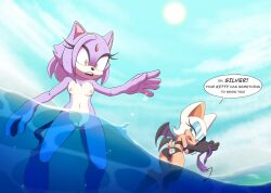 blaze the cat from sega by arts eidolon